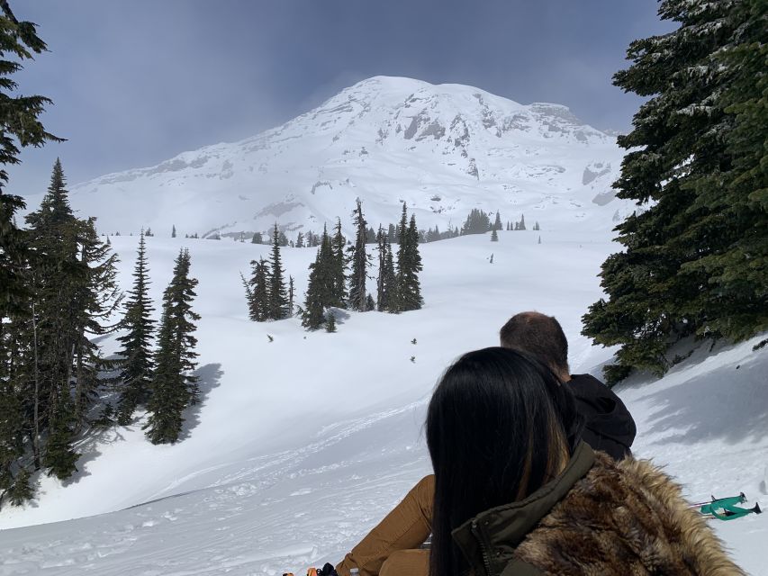 Seattle: Mt. Rainier Park Guided Full-Day Tour - From downtown Seattle to the mountain