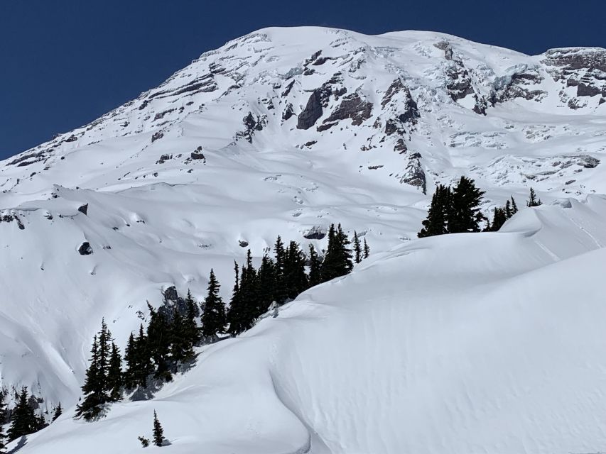 Seattle: Mt. Rainier Park Guided Full-Day Tour - Forests, rivers, lakes, and waterfalls