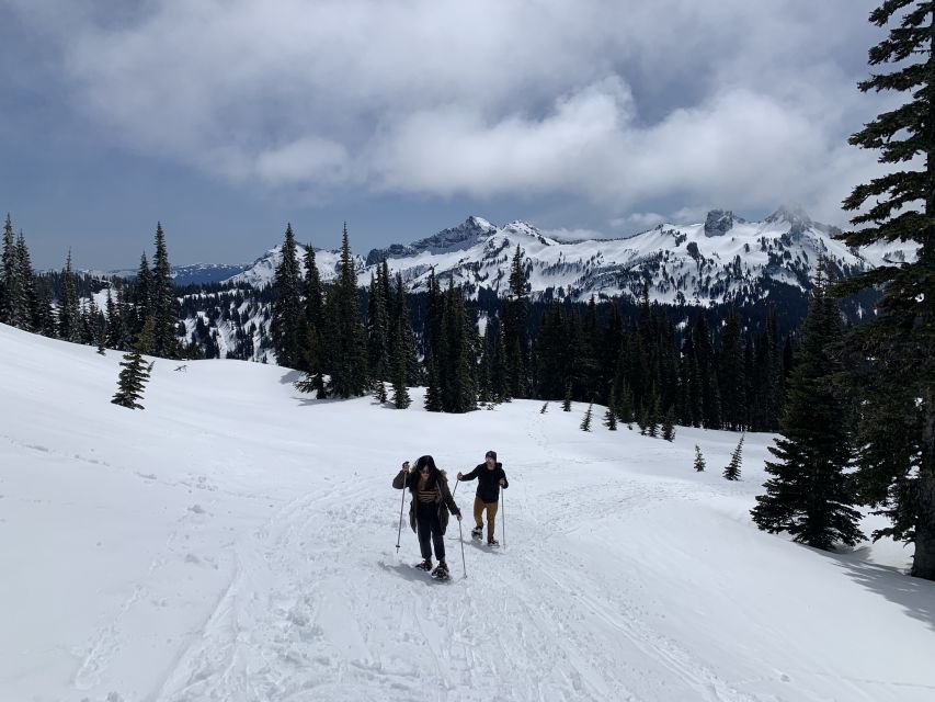 Seattle: Mt. Rainier Park Guided Full-Day Tour - The value of a small group and local guidance