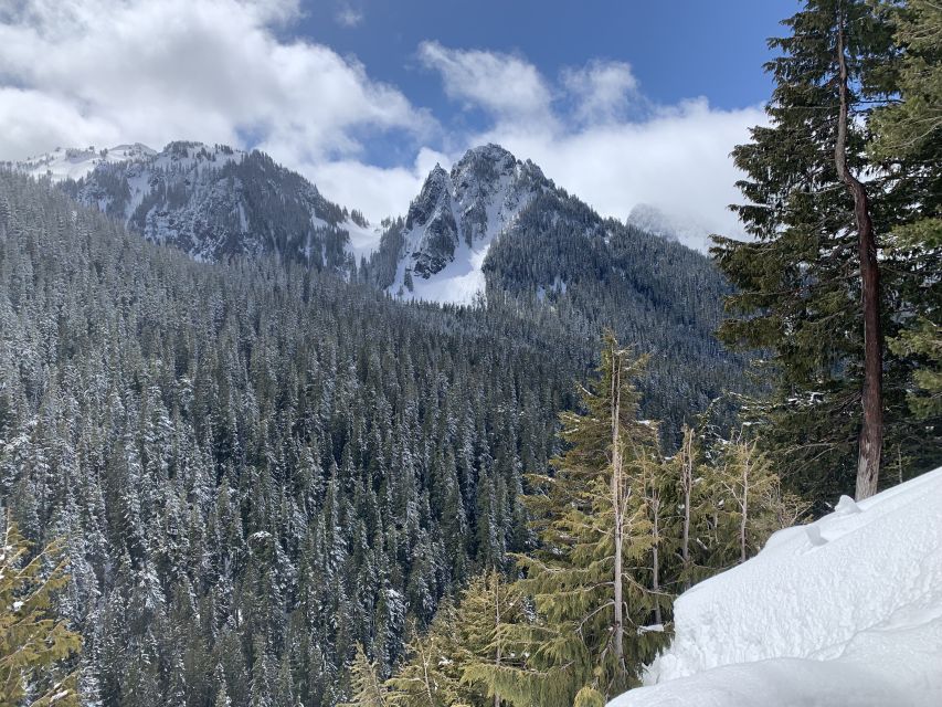 Seattle: Mt. Rainier Park Guided Full-Day Tour - Lunch, clothing, and what to pack