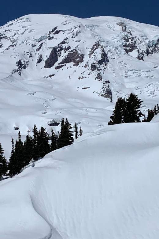 Seattle: Mt. Rainier Park Guided Full-Day Tour - Who will enjoy this Mt. Rainier day?