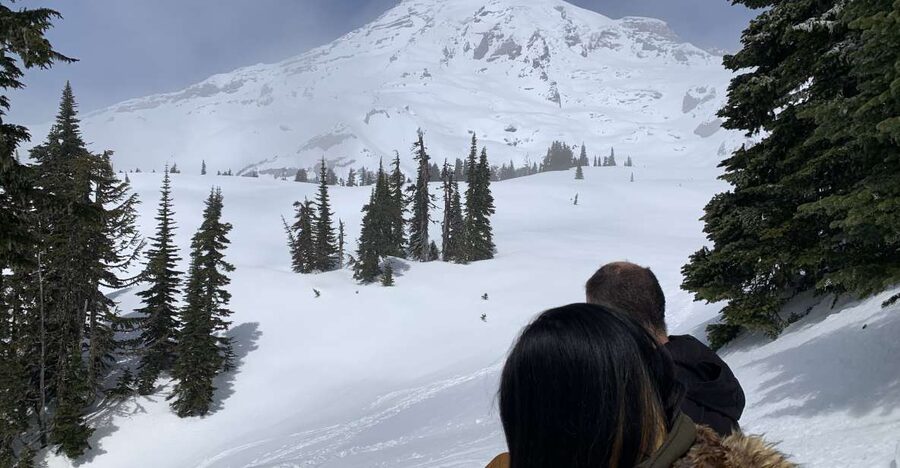 Seattle: Mt. Rainier Park Guided Full-Day Tour - First views of Mt. Rainier