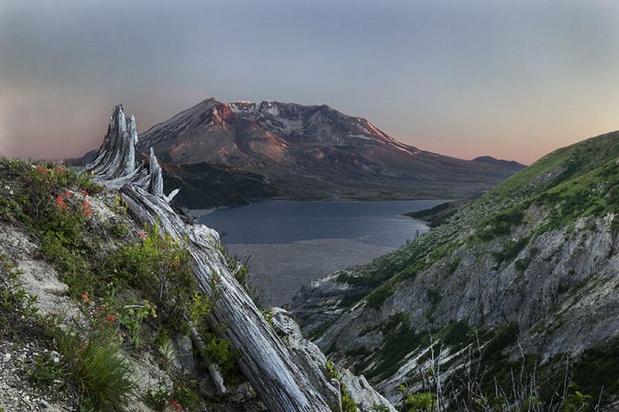 Seattle: Mt. St. Helens National Monument Small Group Tour - Coldwater Lake is the key viewpoint today