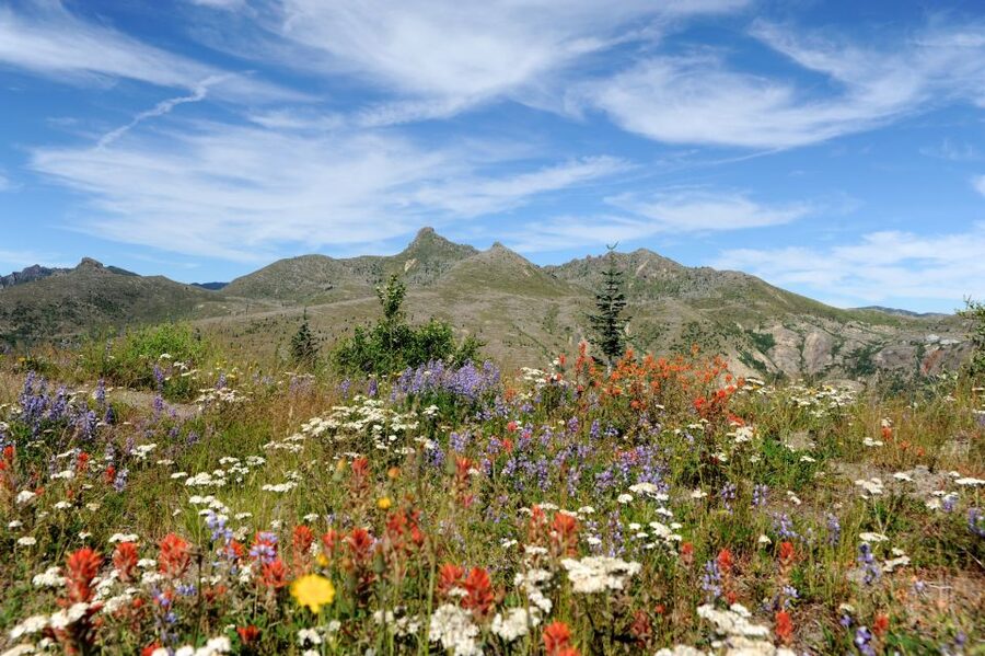Seattle: Mt. St. Helens National Monument Small Group Tour - How the long return drive feels