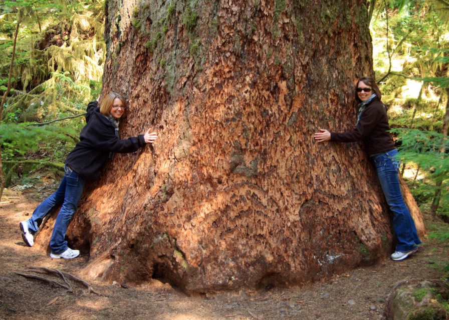 Seattle: Olympic National Park Small-Group Tour - Is $320 a fair price?