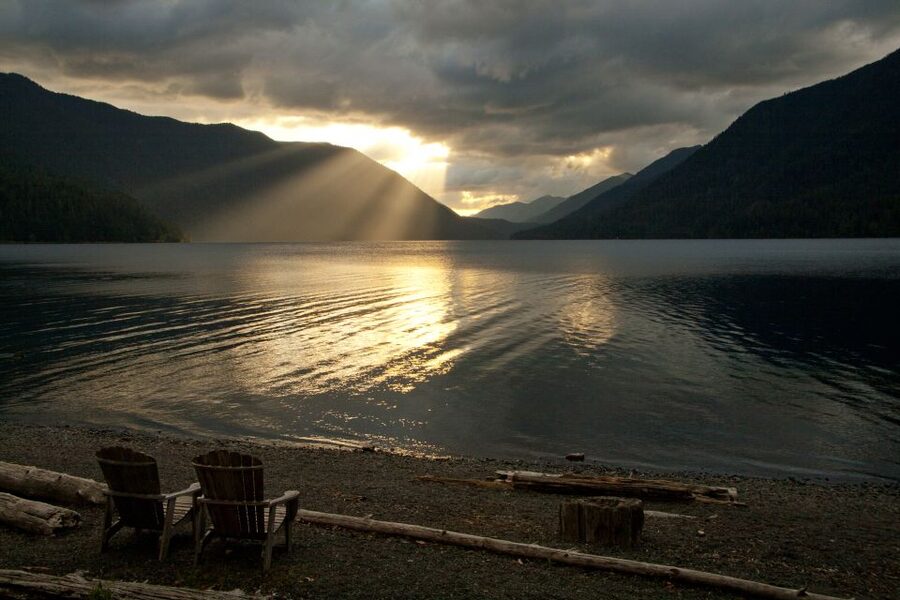 Seattle: Olympic National Park Small-Group Tour - Old-growth forest walks and misty waterfalls