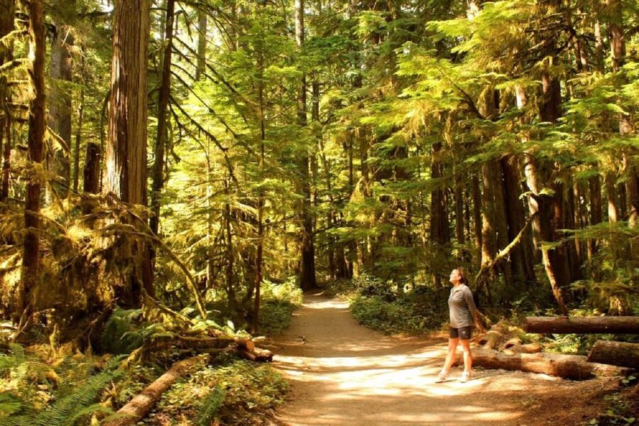 Seattle: Olympic National Park Small-Group Tour - The early Seattle pickup and ferry crossing