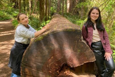 Rainforest, Beach, and Olympic National Park Highlights