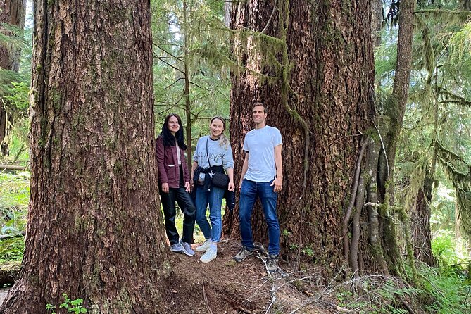 Seattle: Rainforest, Beach, and Olympic National Park Highlights - Hoh Rain Forest is the signature walk
