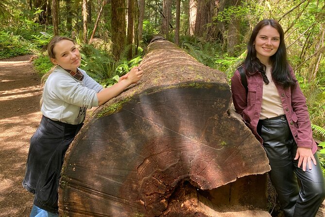 Seattle: Rainforest, Beach, and Olympic National Park Highlights - Aberdeen gives the morning a local beginning