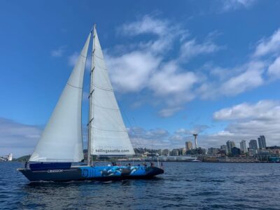 Sailing Cruise