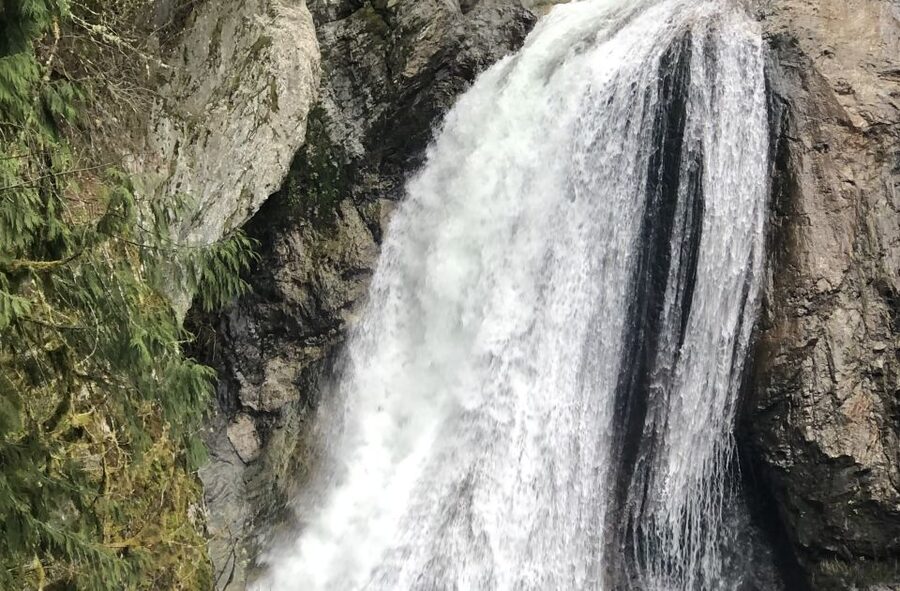 Seattle: Snoqualmie Falls and Twin Falls Guided Tour - What to wear and bring