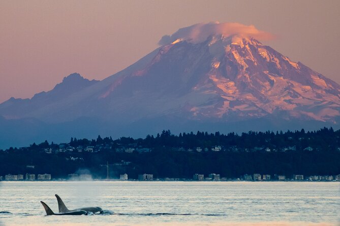 Seattle Sunset Sail BYOB - What the crew adds to the trip