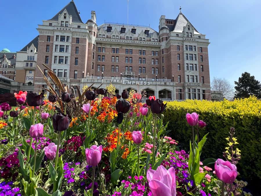 Seattle: Victoria, BC Round-Trip Ferry Tour - Boarding in Seattle and Preparing for the Border