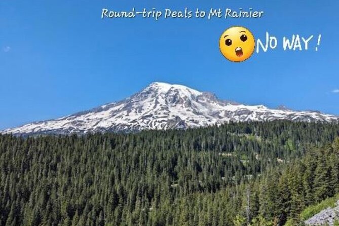 Seattle, WA Hourly Rental Around Town & Sightseeing - Practical booking advice for a smooth ride