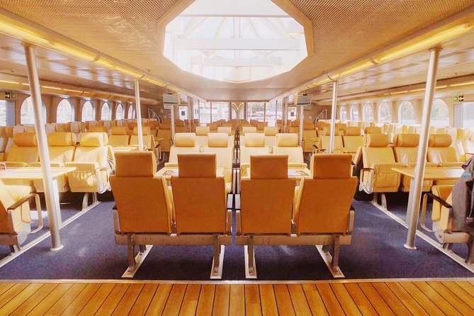 Seattle, WA to Victoria, BC High-Speed Passenger Ferry: ONE-WAY - Luggage, bikes, dogs, and practical limits