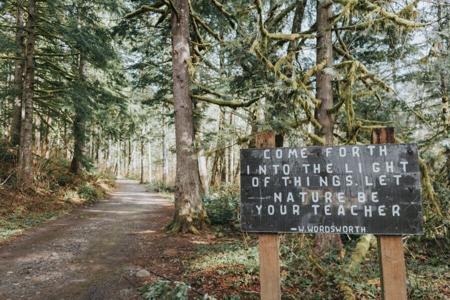 Seattle: Waterfall Wonderland Hike in Wallace Falls Park - What the guide adds to the day