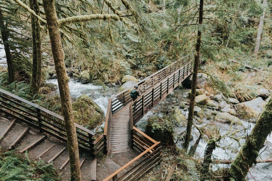 Seattle: Waterfall Wonderland Hike in Wallace Falls Park - Wallace Falls begins with forest and river sound