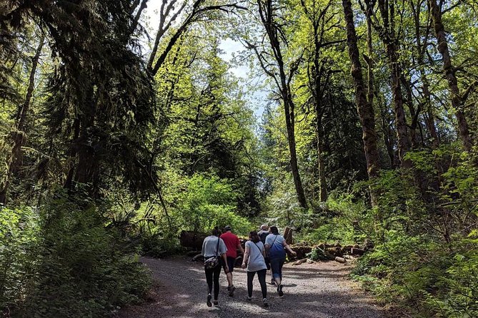 Seattle Wine and Waterfall Luxury Small-Group Day Tour with Lunch - Pickup at 9:00 am in a luxury Mercedes van