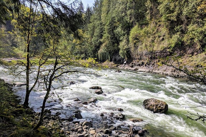 Seattle Wine and Waterfall Luxury Small-Group Day Tour with Lunch - Snoqualmie Falls and the half-mile forest walk