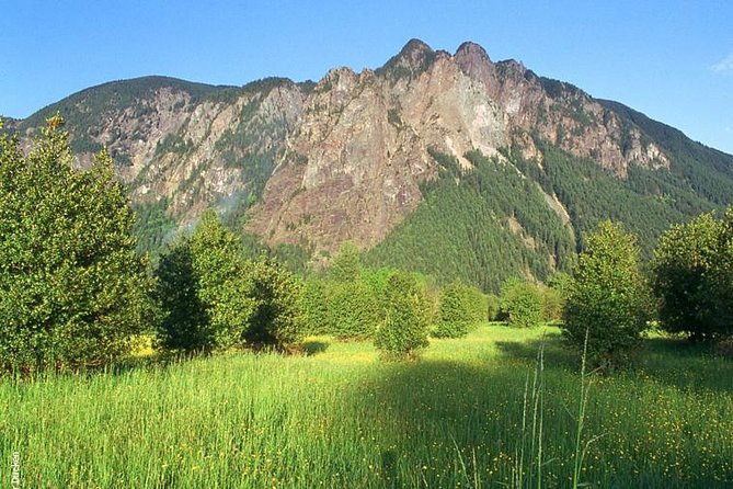Seattle Wine & Snoqualmie Falls Highlights Tour - The guide can make or break the long drives
