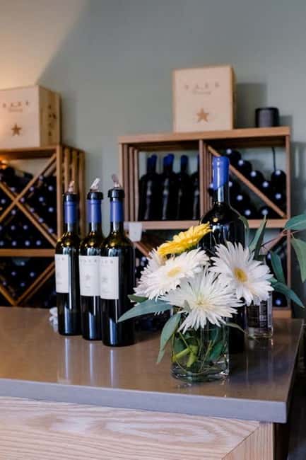 Seattle: Woodinville Guided Wine Tour with Optional Tastings - Why Woodinville works so well for a day trip