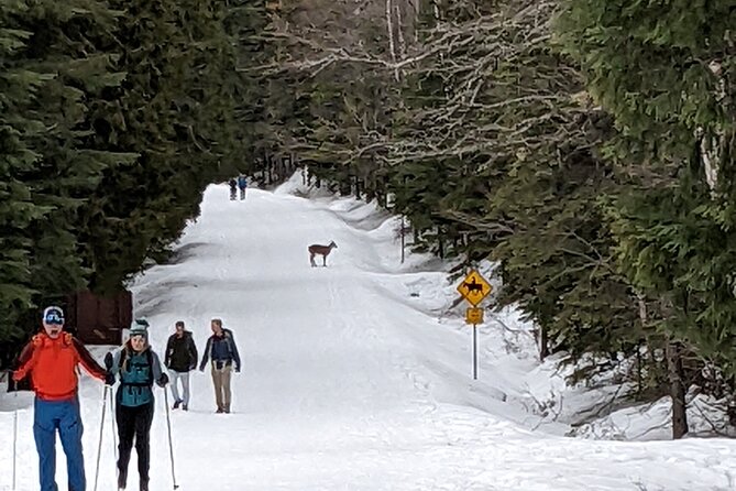 Shuttle to Snoqualmie Pass Ski and Snowboard - What $150 means for the value