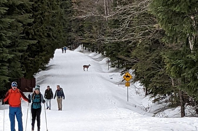 Shuttle to Snoqualmie Pass Ski and Snowboard - The small details that make the ride easier