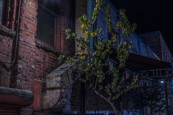 Sinister Sins, Scandal, and Shadows: Seattle Ghost Tour - Walking comfort, group size, and street awareness