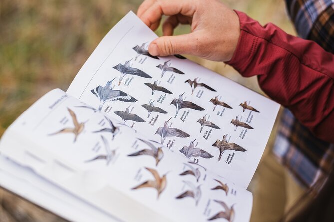 Skagit Valley Birding + Deception Pass Day Tour From Seattle - Key points at a glance