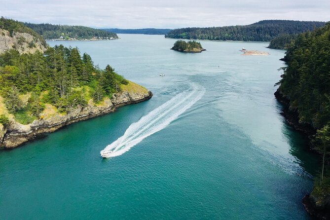 Skagit Valley Birding + Deception Pass Day Tour From Seattle - Why this Seattle day trip feels different