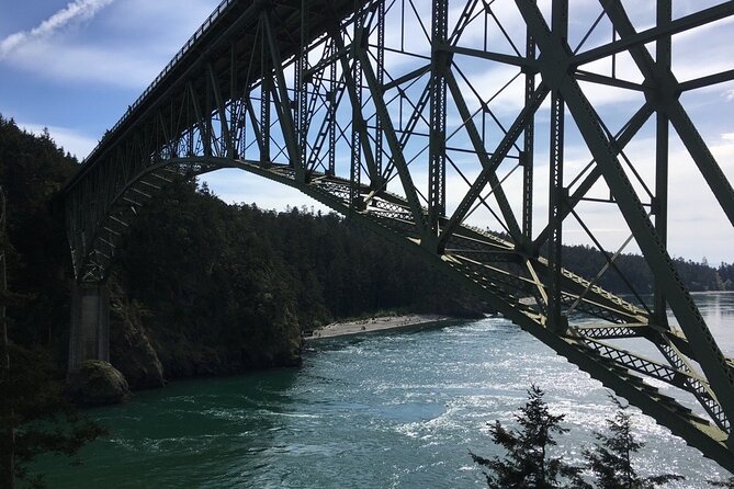 Skagit Valley Birding + Deception Pass Day Tour From Seattle - Skagit Valley birding in the winter fields