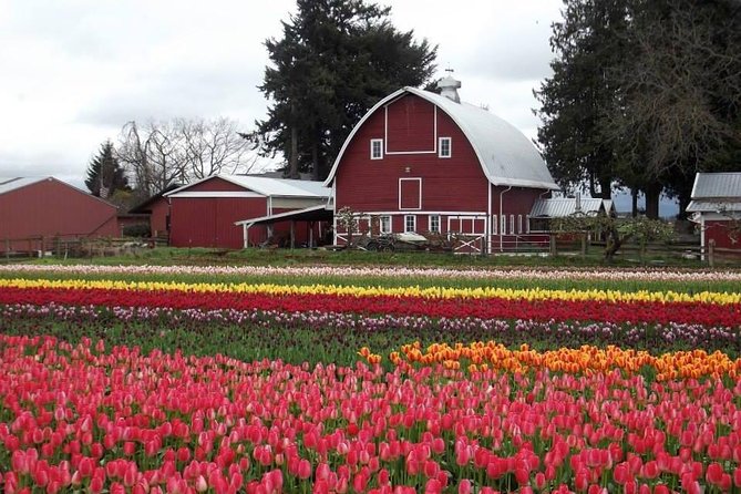 Skagit Valley Tulip Festival Day Tour from Seattle - The group size and fixed schedule