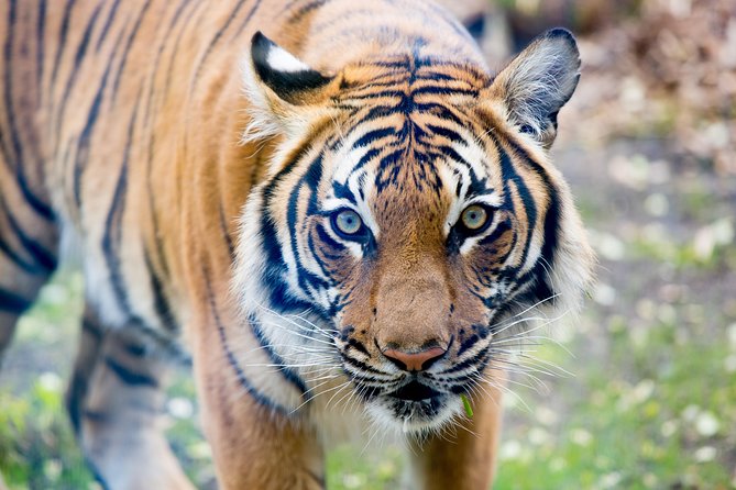Skip the Line: Daily Admission at Woodland Park Zoo Ticket - How Long Should You Stay?