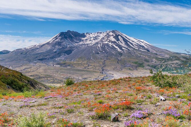 Small-group Mt. St. Helen National Park Tour from Seattle in SUV - Key details about this Mount St. Helens day trip