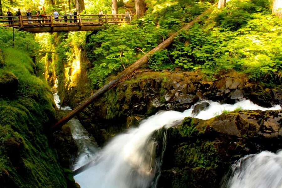 Small Group: Olympic National Park Day Tour From Seattle - Early pickup and the ferry from Seattle