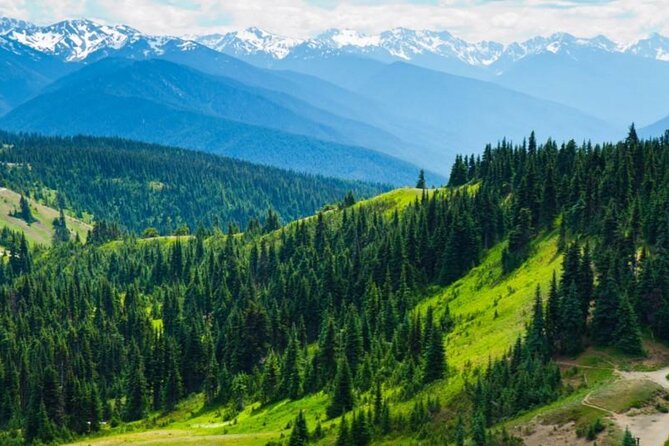 Small Group Olympic National Park Day Tour from Seattle 2CanGo - Why this Seattle day trip feels bigger than its price