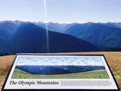 Small Group: Olympic National Park Day Tour From Seattle