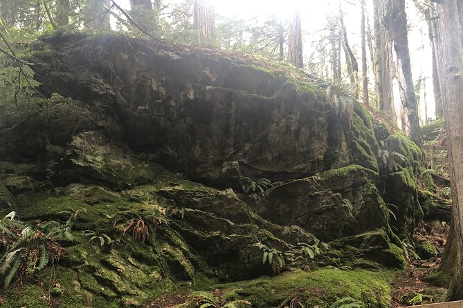 Snoqualmie falls and Twin Falls Hike - Why this Seattle waterfall tour works