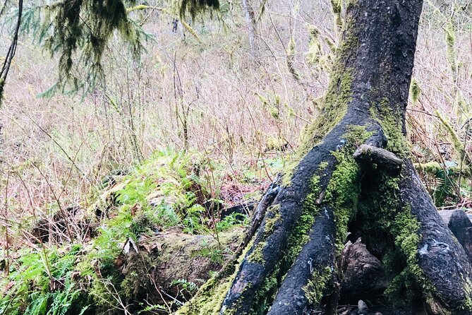 Snoqualmie falls and Twin Falls Hike - What Jared adds to the outing