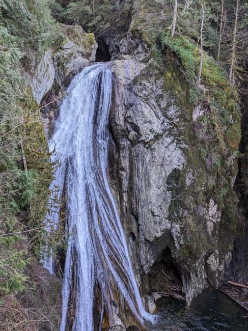 Snoqualmie, Twin Falls & Ancient Forest (Transport Included) - Why this morning trip works so well from Seattle