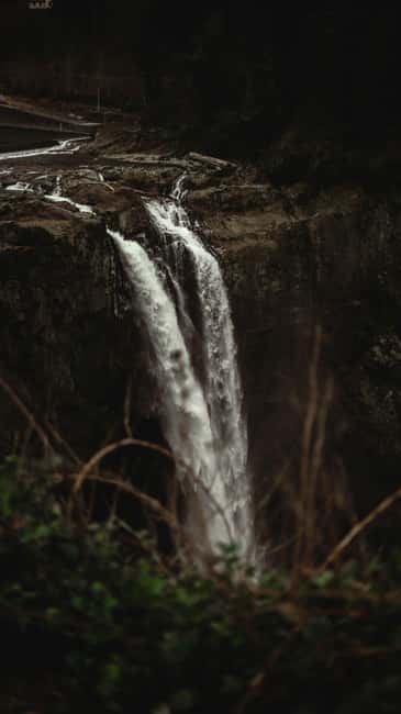 Snoqualmie, Twin Falls & Ancient Forest (Transport Included) - Twin Falls and the forest hike