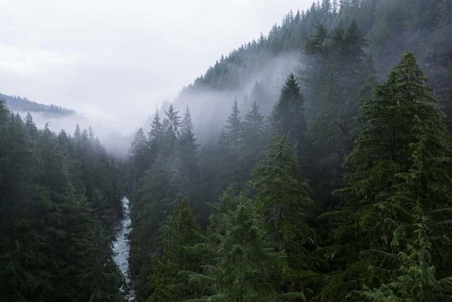Snoqualmie, Twin Falls & Ancient Forest (Transport Included) - Jonny’s guiding style and group care