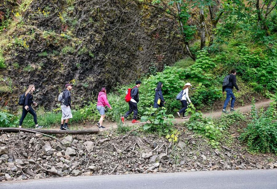 Snoqualmie, Twin Falls & Ancient Forest (Transport Included) - Is $66 a fair price?