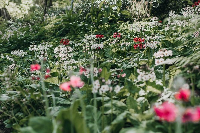 The Bloedel Reserve & Sightseeing - Weather, cancellation, and planning risk