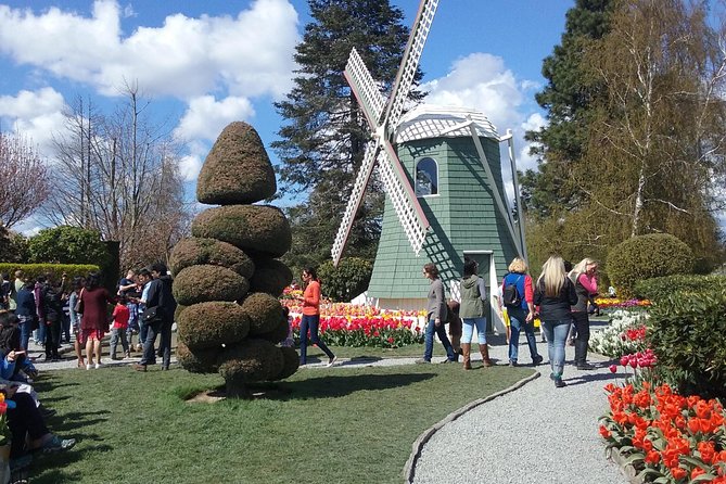 Tulip Festival and Skagit Valley Tour - Why the Skagit Valley trip works as a spring day out