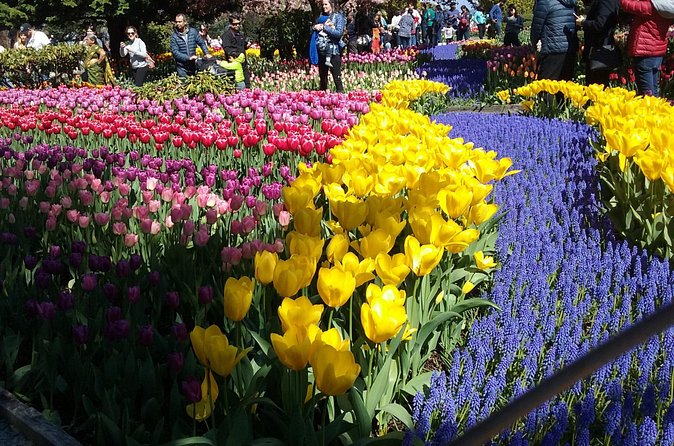 Tulip Festival and Skagit Valley Tour - La Conner gives the day a welcome pause