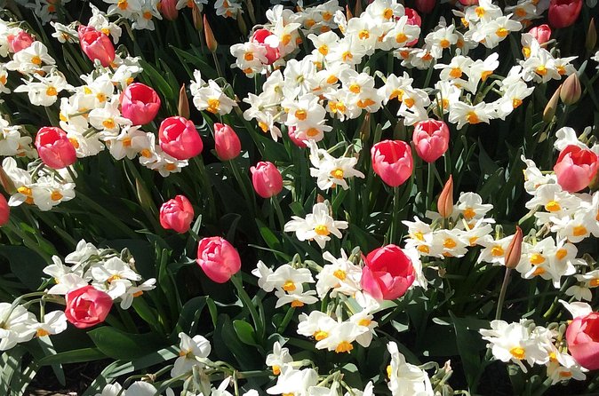 Tulip Festival and Skagit Valley Tour - Three museums for the afternoon