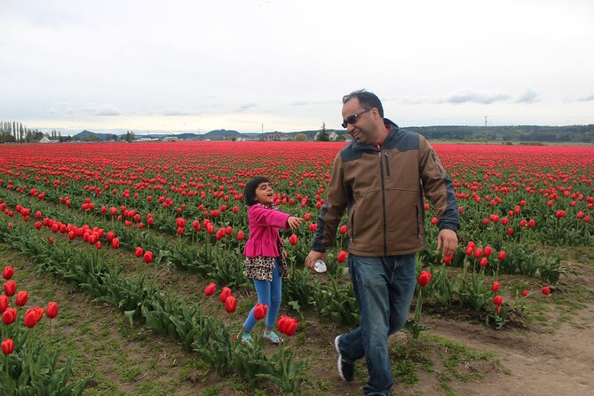 Tulip Festival at Skagit Valley ,La Conner and Deception Pass - La Conner waterfront: lunch with a view