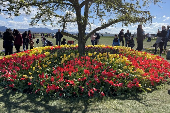 Tulip Festival in Skagit Valley Tour from Seattle - The real attraction, Skagit Valley in bloom